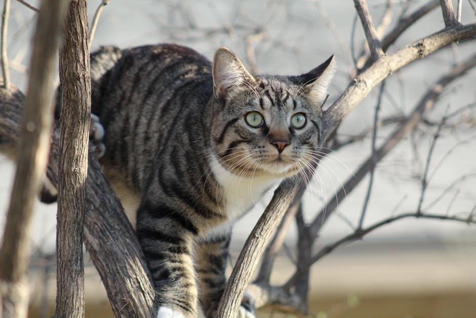 canon eos rebel g manual post thumbnail image